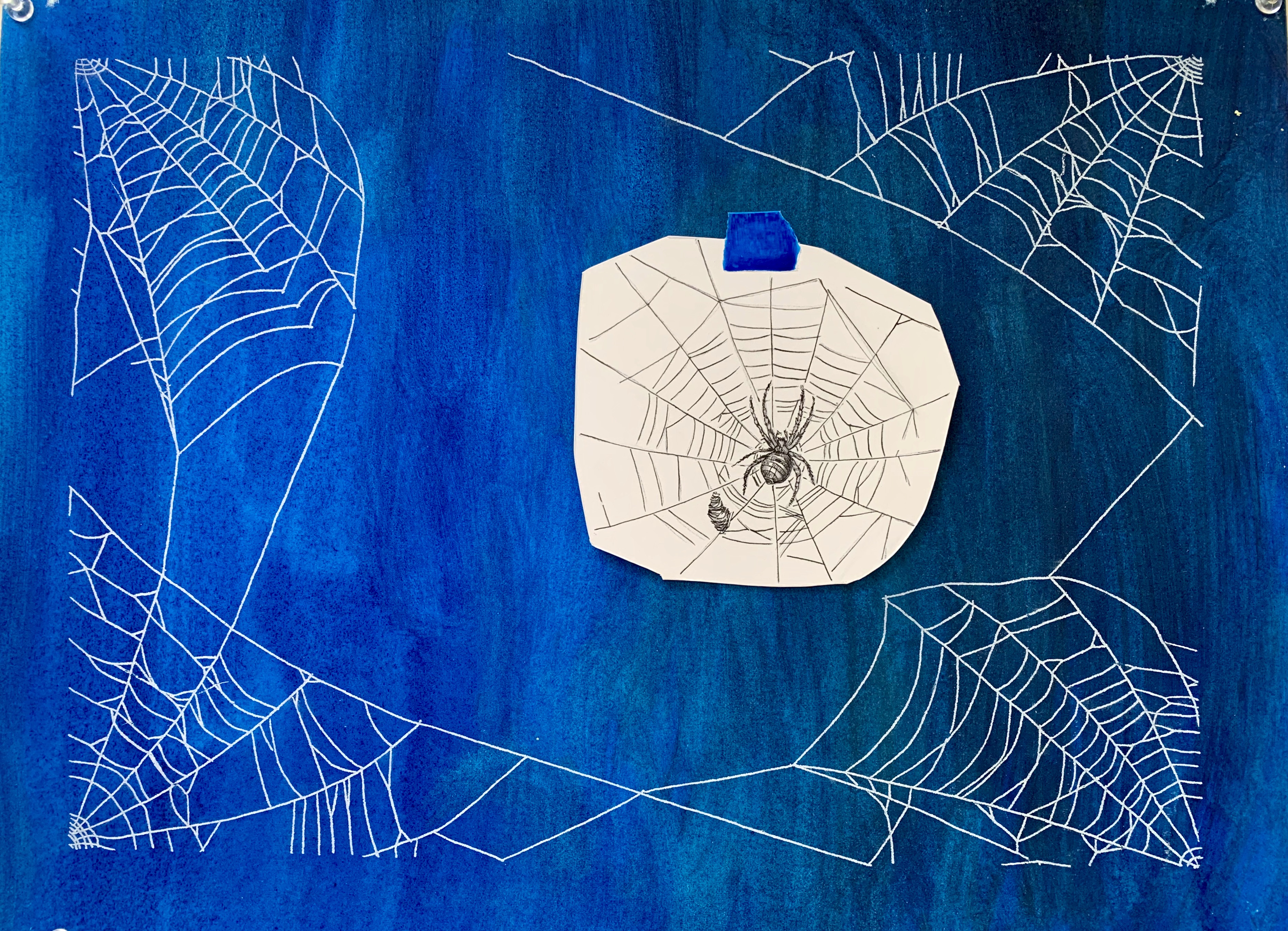 Untitled (web)