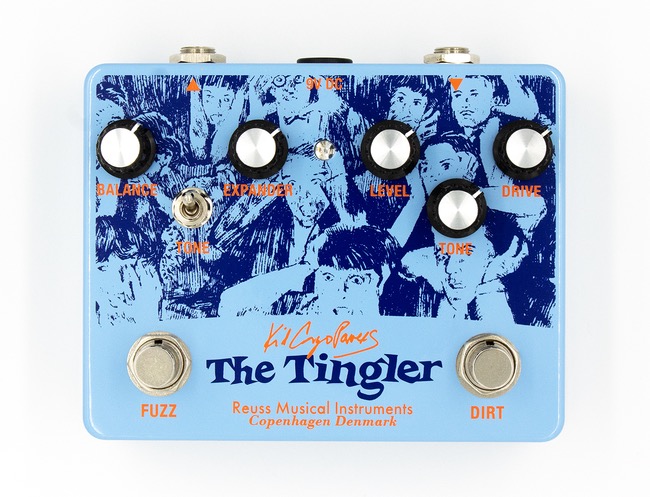 The tinger guitar pedal casing