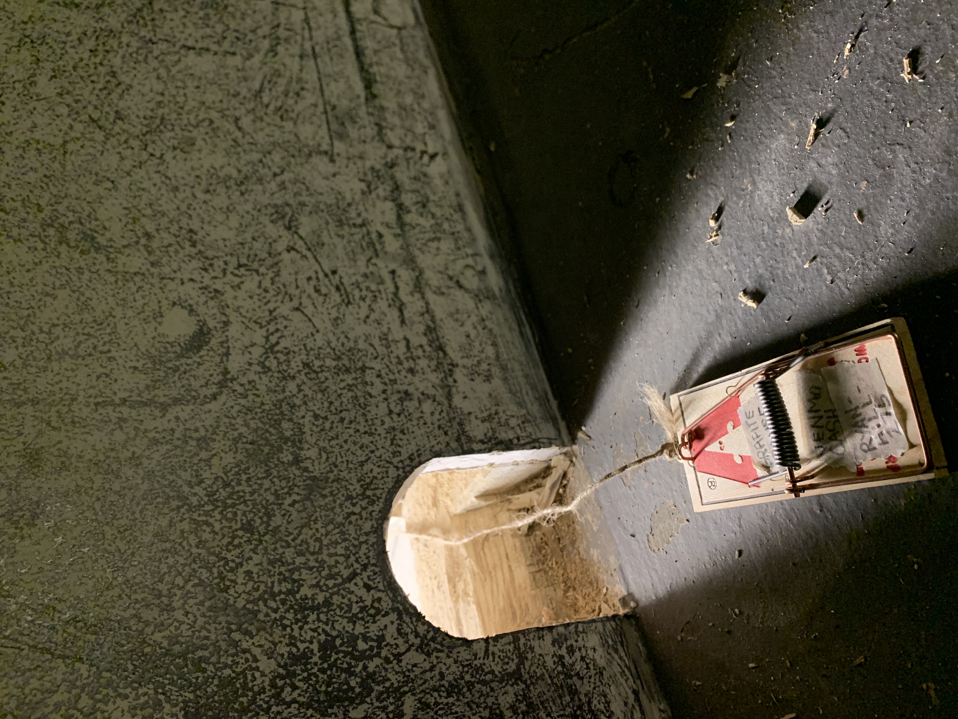  Mouse Hole (Installation) 