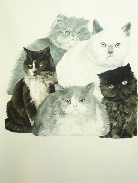 Untitled (Cats)