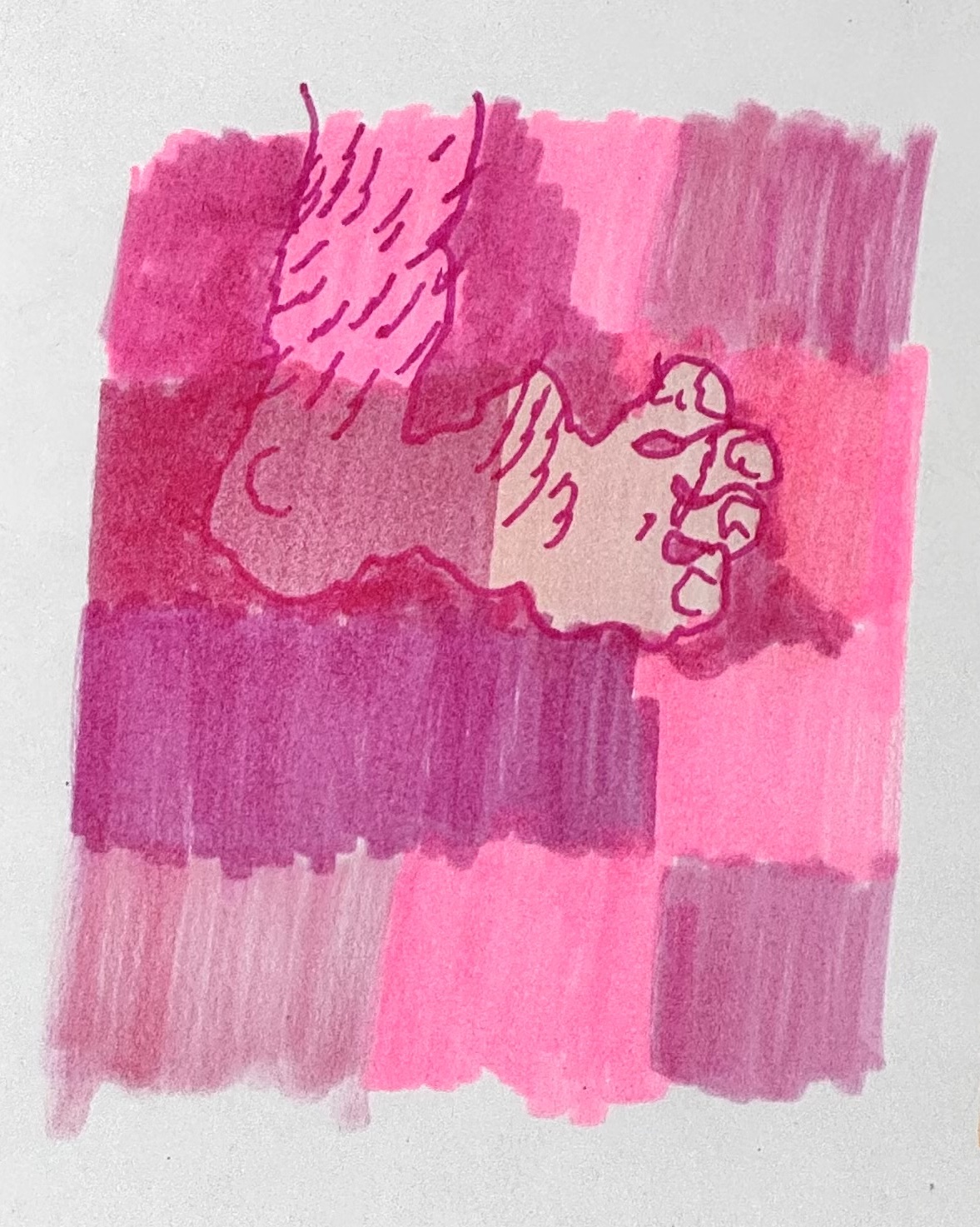 Pink Foot